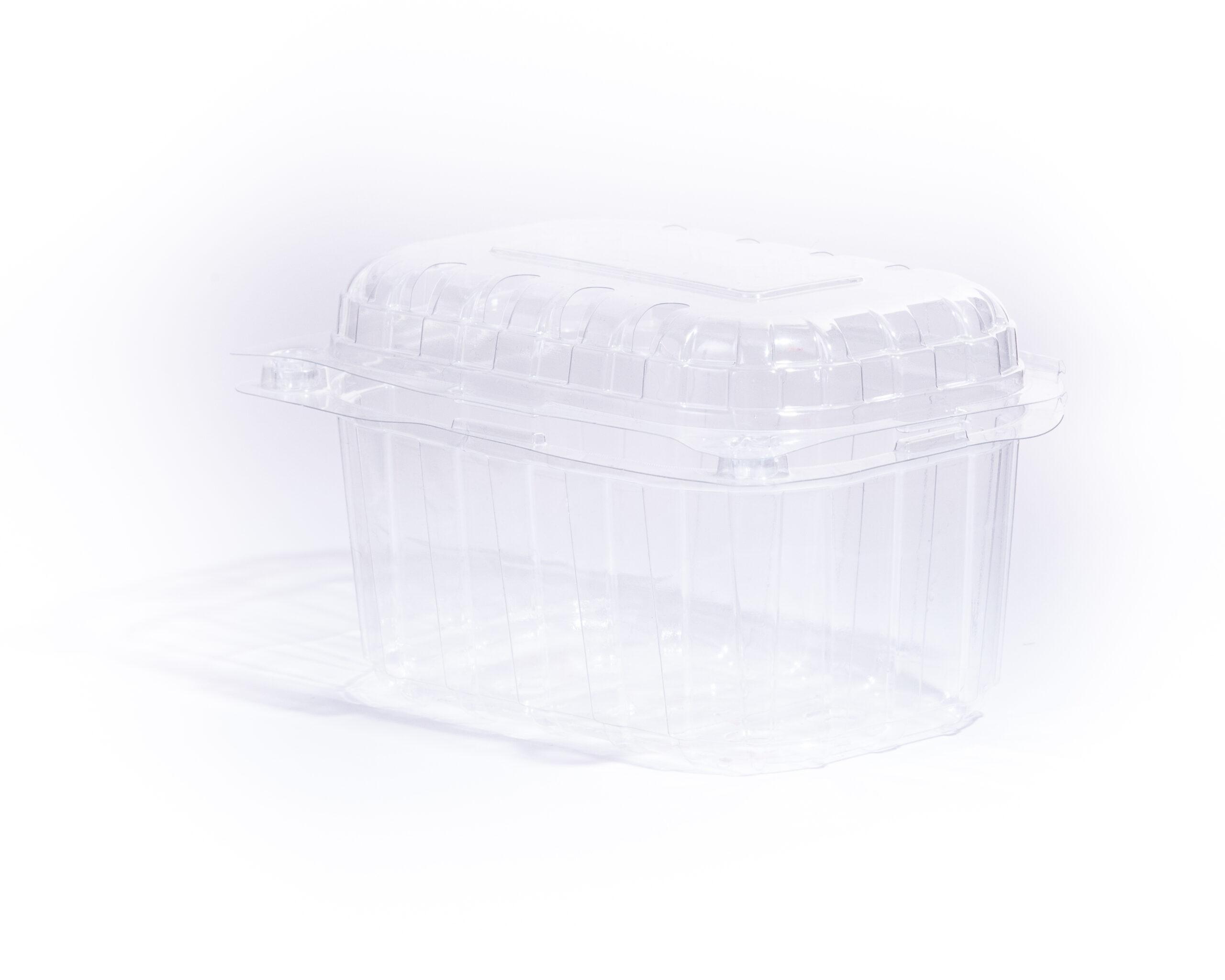 fruit punnet small 2